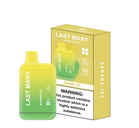 Last Mary 600 Puffs 20mg Disposable Vape Kit