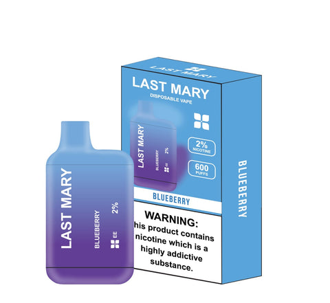Last Mary 600 Puffs 20mg Disposable Vape Kit